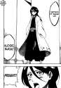 Captain Rukia.png