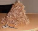 Furpile.jpg