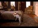 My dog skip final scene.jpg