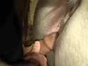 1445068740091.webm
