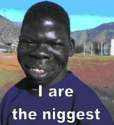 tumblr_lf1yqyl65P1qg741so1_250.jpg