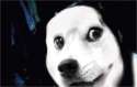 Jeff_the_dogekiller_xd_by_alys_perk_13-d8jm051.png