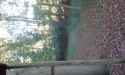 noexif_534f9a8a.jpg