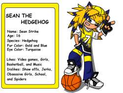 sean_strike_the_hedgehog_by_darkneozero-d398937.png