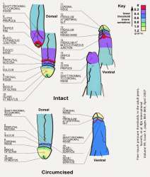 Since+you+guise+doubt+me+when+i+tell+you+circumcision+_60316b27d586c4eaea8b3b6365c6d38d.jpg
