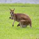 received_1145042112213620.jpg