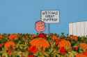 great-pumpkin.jpg