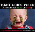 baby cries real weed.png