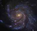 M101HST-GendlerM.jpg