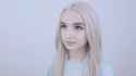 poppy.png