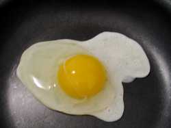 Fried-Egg_12138.jpg