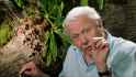 DavidAttenborough.jpg