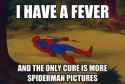 fever the only cure more spidy pics.jpg