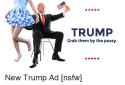 trump-grab-them-by-the-pussy-new-trump-ad-nsfw-4550740.png