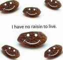 No raisin to live.jpg