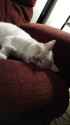 IMG-20161002-WA0032.jpg