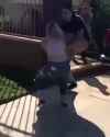 1477342.webm