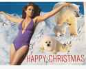 liz-hurley-christmas-card-2012-instagram-1450799701-custom-0.jpg