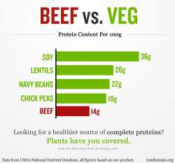 beef-vs-veg-protein-content-pe_1510453163.jpg