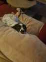 Resized_20161019_225643.jpg