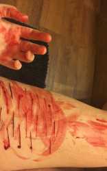 cut.jpg