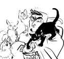 actually this many cats in my house.png