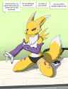 000403-airafox.jpg