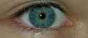 eye.jpg