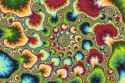 psilocybin-mushrooms-fear-lab-mice-shroom-fractals.jpg