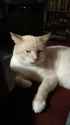 IMG-20161029-WA0025.jpg