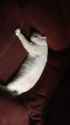 IMG-20161003-WA0031.jpg