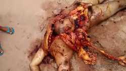 remains-decapitation-disembowelment-mutilation-man-head-inside-chest-cavity-brazil.jpg