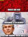 roses-are-red-harambe-is-in-heaven-everyone-knows-bush-did-nine-eleven.jpg