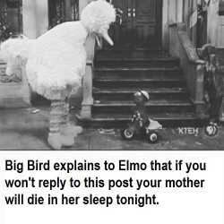 Elmo&Google.jpg