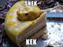 Snekek.jpg