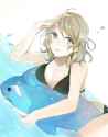 s - 2927439 - 1girl alice-yuki bikini blue_eyes brown_hair dolphin inflatable_toy love_live!_school_idol_project love_l.jpg