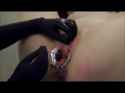 u.webm