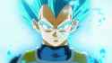 Vegeta-SSGSS-2.png