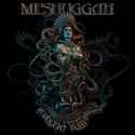 Meshuggah - The Violent Sleep of Reason.jpg