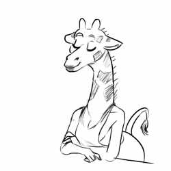 Cat.png