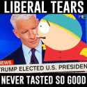 Liberal+tears_64f18e_6083563.jpg