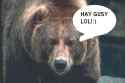 almobear1.jpg