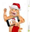 cat-red-christmas-hat-taking-selfie-together-smartphone-isolated-white-54890748.jpg