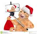 cat-red-christmas-hat-taking-selfie-together-smartphone-isolated-white-59442355.jpg