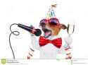 happy-new-year-dog-jack-russell-celebrating-years-eve-champagne-singing-karaoke-microphone-isolated-white-60666549.jpg