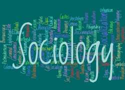 soci-banner-560x404.jpg