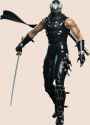 WO3-Ryu_Hayabusa.png