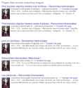 Google Search.png