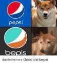 pepsi-bepis-dankmemes-good-old-bepsi-10896779[1].png
