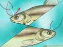 aid668961-v4-728px-Bait-a-Fishing-Hook-Step-26.jpg